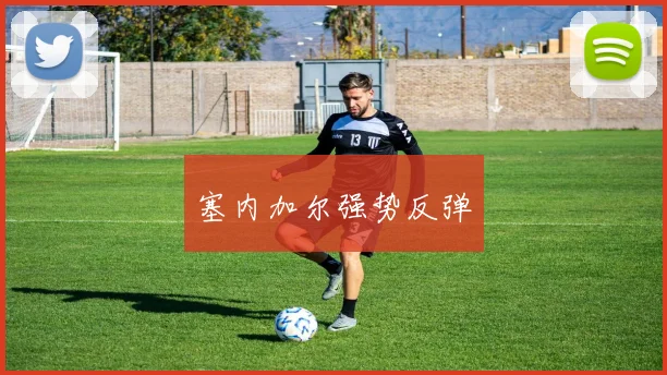 塞内加尔强势反弹 - 皇冠体育官网