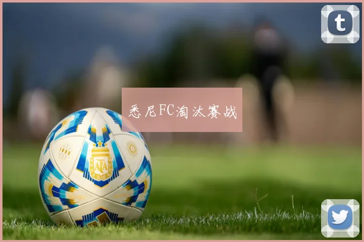 悉尼FC淘汰赛战 - 皇冠体育官网