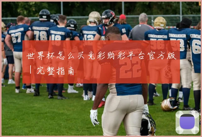 世界杯怎么买竞彩购彩平台官方版｜完整指南 - 皇冠体育官网