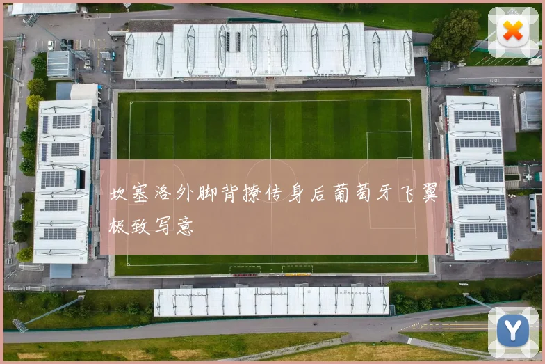 坎塞洛外脚背撩传身后葡萄牙飞翼极致写意 - 皇冠体育官网
