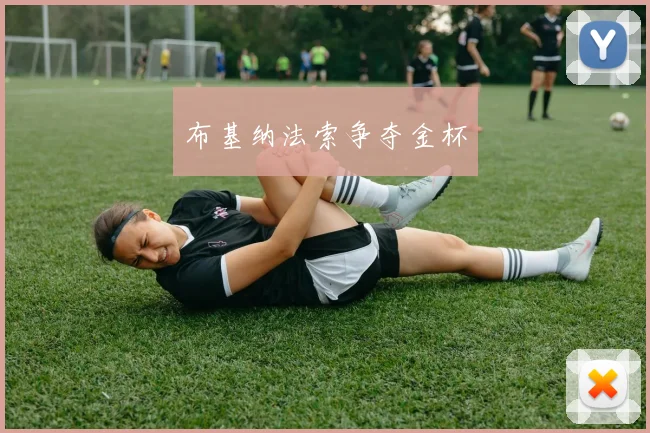 布基纳法索争夺金杯 - 皇冠体育官网