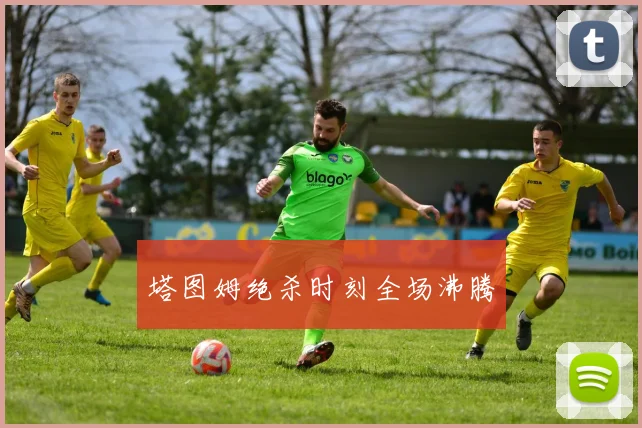 塔图姆绝杀时刻全场沸腾 - 皇冠体育官网